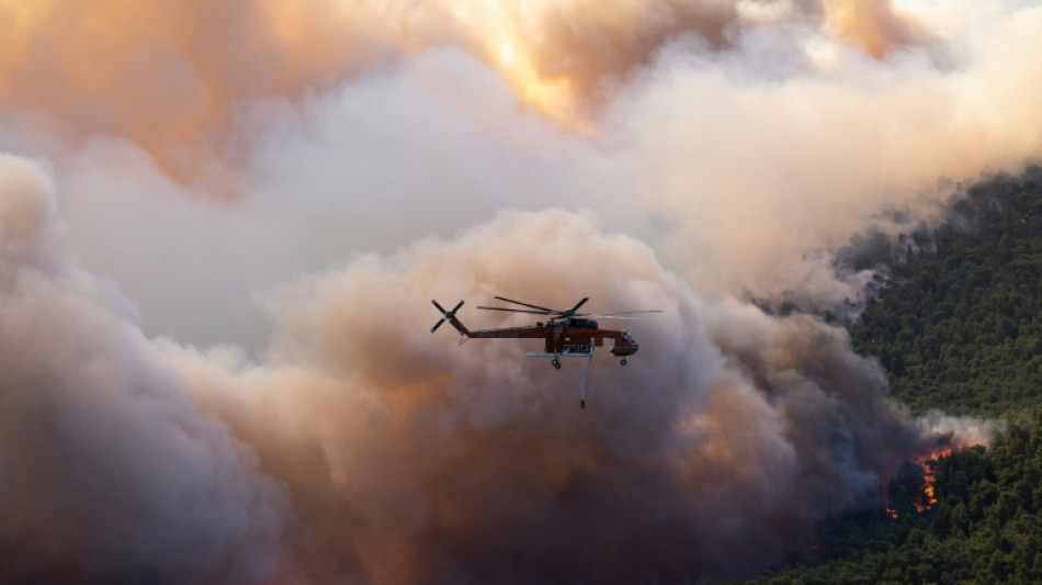  Hunderte Feuerwehrleute k&auml;mpfen bei starkem Wind gegen Waldbr&auml;nde in Griechenland 