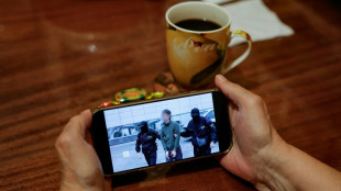 Japan urges Russia for 'impartial treatment' of arrested journalist