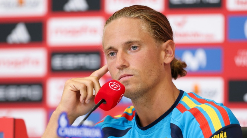  Spain confident despite World Cup injury setbacks, says Llorente 