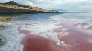 Piden no sumergir los pavos en lago salado de EEUU para Acci&oacute;n de Gracias