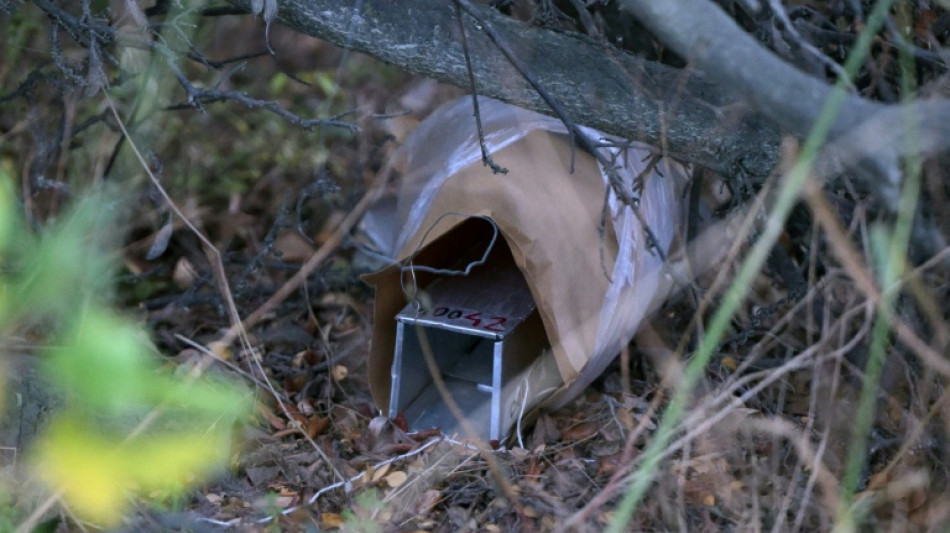  Argentine researchers collect rodents for hantavirus tests 
 