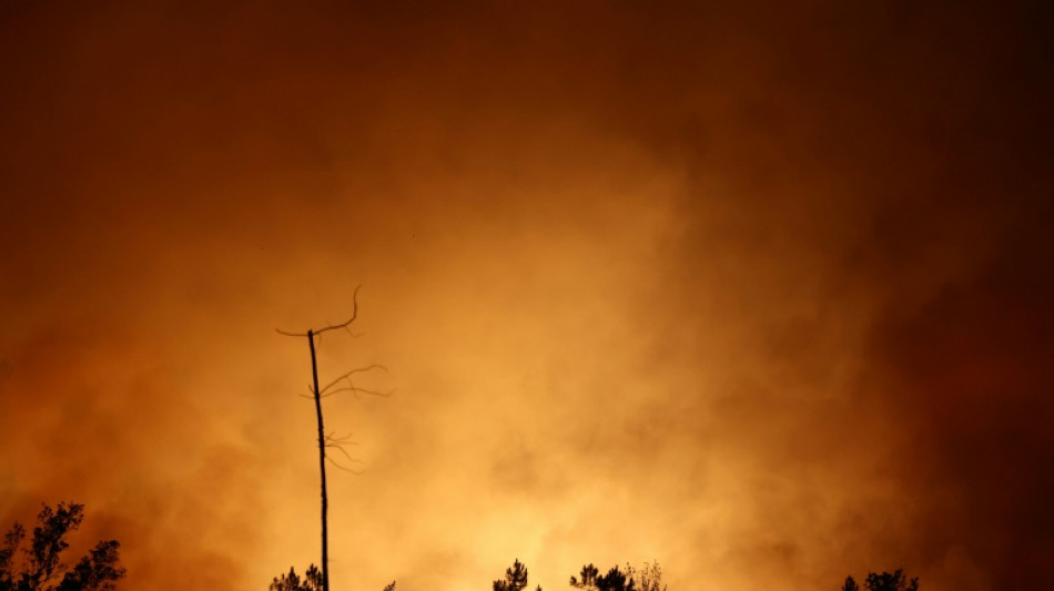  Miles de personas evacuadas por devastadores incendios en Italia, Francia y Espa&ntilde;a 