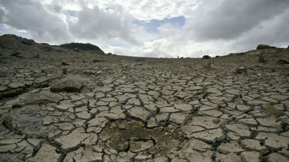  Honduras places 80% of country on El Nino drought alert 