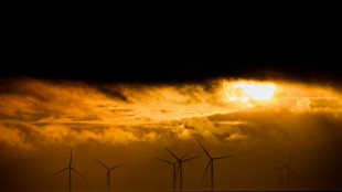 &Eacute;nergies renouvelables: l'Assembl&eacute;e adopte le texte avec le soutien des socialistes