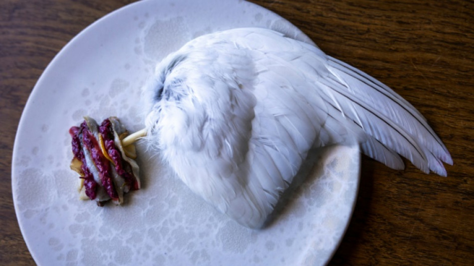 El restaurante galardonado m&aacute;s septentrional del mundo se encuentra en Groenlandia