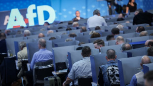 Verfassungsschutz schweigt vorl&auml;ufig zu Kandidatenk&uuml;r der AfD f&uuml;r Europawahl