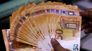 Fmi ratifica Mes &egrave; una priorit&agrave; per avere il backstop