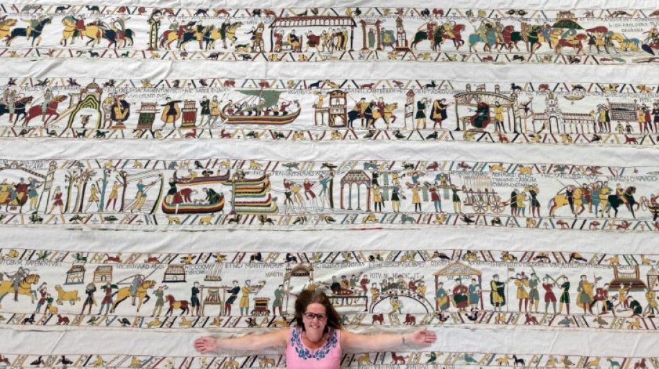  One stitch at a time: Artist's mission to recreate the Bayeux Tapestry 