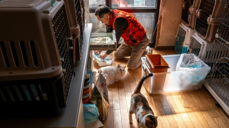  Sauver les animaux abandonn&eacute;s de Fukushima: la mission acharn&eacute;e d'un ancien travailleur de la centrale 