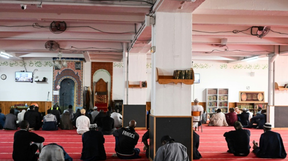  Francia investiga la aparición de 9 cabezas de cerdos frente a mezquitas 