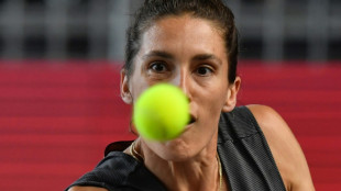 Petkovic sieht soziale Netzwerke als Grund f&uuml;r viele Tennis-Paare