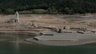 Sin lluvias, la sequ&iacute;a en Catalu&ntilde;a no deja de agravarse