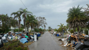 El cambio clim&aacute;tico exacerb&oacute; la lluvia y los vientos del hurac&aacute;n Helene, seg&uacute;n un estudio