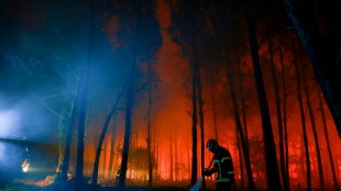 Decenas de heridos y miles de evacuados en Europa a causa de los incendios