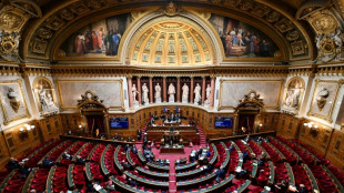 Energies renouvelables: ultime vote au S&eacute;nat pour l'adoption d&eacute;finitive