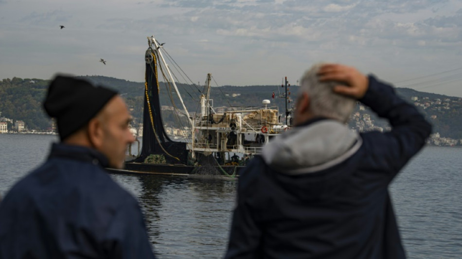 Surp&ecirc;che, pollution, circulation: le Bosphore perd ses poissons