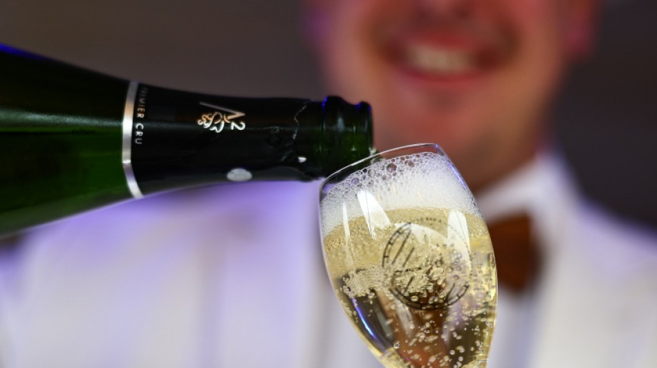  Champagne puts cork in project to expand production area 