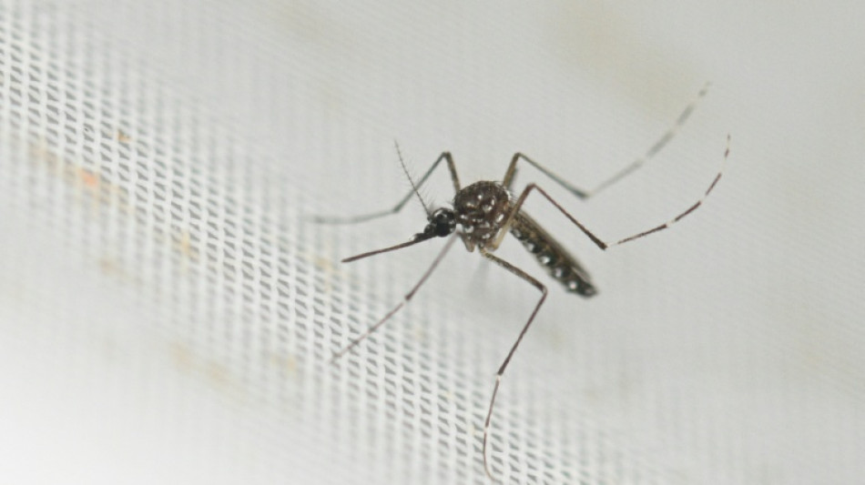  Chikungunya: un premier cas autochtone identifi&eacute; cette saison en France 