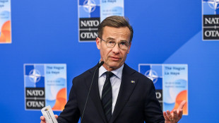 Svezia, 'continueremo a fornire armi all'Ucraina'
