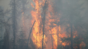Feux de for&ecirc;t au Canada: &eacute;tat d'urgence dans l'Alberta, 25.000 personnes &eacute;vacu&eacute;es