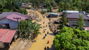 Seltene Orang-Utans durch Folgen von Flutkatastrophe in Indonesien bedroht