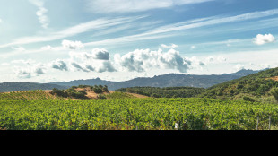 Campari cede amaro Averna e mirto Zedda Piras per 100 milioni