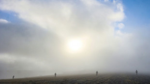 Turqu&iacute;a encuentra la caja negra tras el accidente del avi&oacute;n de alto mando militar de Libia