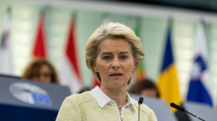 UE propone un embargo progresivo del petr&oacute;leo ruso en nuevo paquete de sanciones