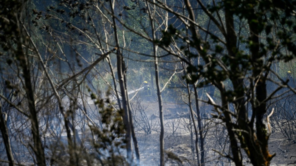  Tour de France stage under threat due to forest fires: official 