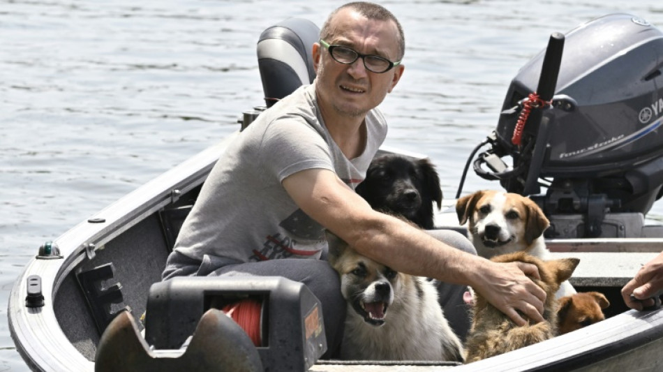 A Kherson noy&eacute;e sous les eaux, la course pour sauver les animaux