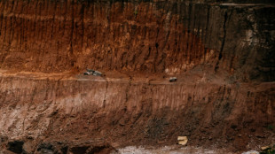 Bauern in Sambia verklagen chinesische Bergbaufirma wegen Umweltverschmutzung