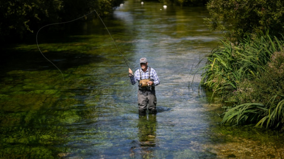  Climate change hits trout and salmon in UK's prized chalk streams 