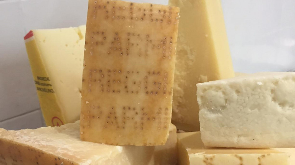 Formaggi Grana e Parmigiano non a rischio Escherichia Coli 