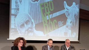 Cinema di frontiera, ad Aosta &egrave; tempo di FrontDoc