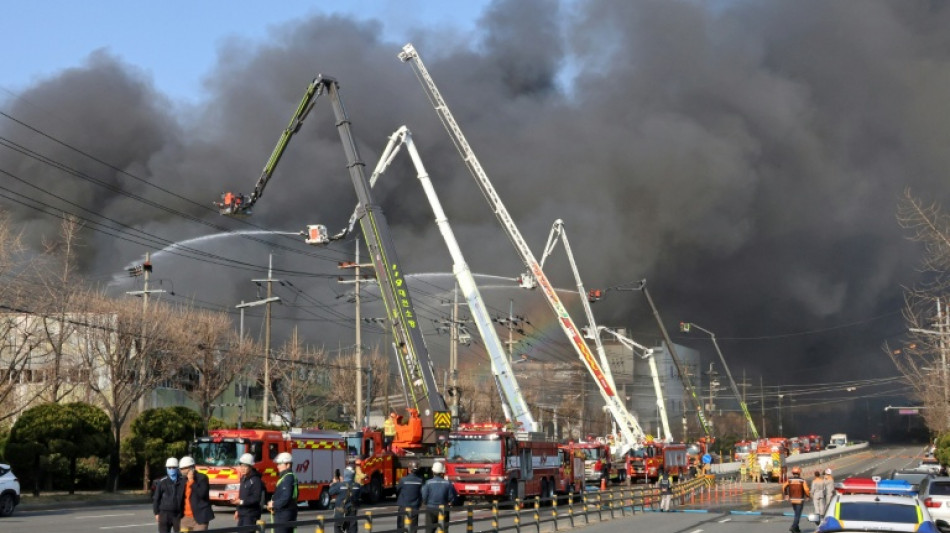  14 Tote bei verheerendem Brand in Autoteilefabrik in S&uuml;dkorea 