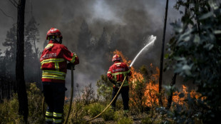 Un feu de for&ecirc;t a d&eacute;truit 7.000 hectares dans le centre du Portugal