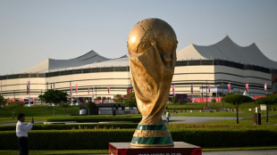 El Mundial de Catar levanta por fin el tel&oacute;n