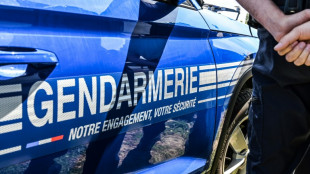 Double infanticide pr&egrave;s de Nancy, une m&egrave;re de famille en garde &agrave; vue