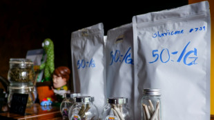 Thailands Regierung k&uuml;ndigt Verbot von Cannabiskonsum "zum Spa&szlig;" an