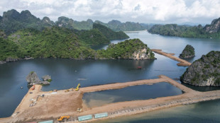 Vietnam: la construction d'un immense complexe pr&egrave;s de la baie d'Ha Long provoque un toll&eacute;
