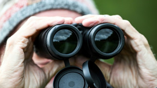 Zahl der Jagdpr&uuml;fungen in Deutschland: Zweith&ouml;chster Wert seit 75 Jahren