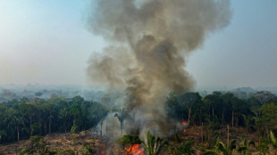 Casi 3.000 incendios en la Amazon&iacute;a brasile&ntilde;a, r&eacute;cord para un mes de febrero
