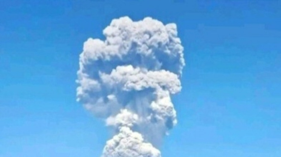  Indonesia volcanic eruption kills three hikers: officials 