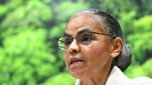 Cen&aacute;rio no Brasil est&aacute; 'muito prop&iacute;cio' para novos inc&ecirc;ndios, diz Marina Silva