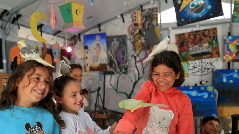  Ni&ntilde;os de Gaza vuelven a sonre&iacute;r gracias a la zooterapia 