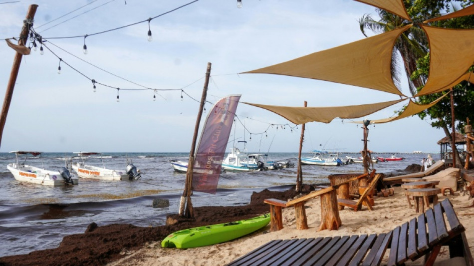  Mexico escalates war against smelly seaweed on Caribbean beaches 