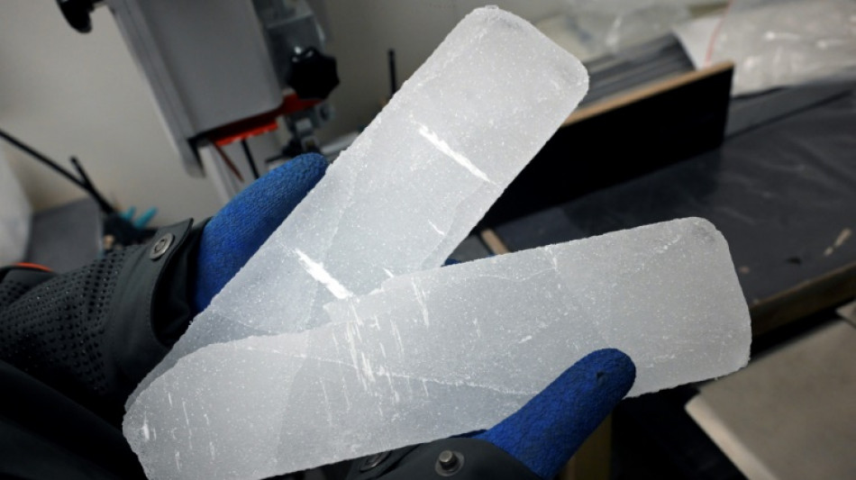 A Bruxelles, la chasse au trésor des glaces antarctiques