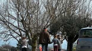 Periti di parte, 'traumi nei bimbi del bosco, urgente riunire la famiglia'