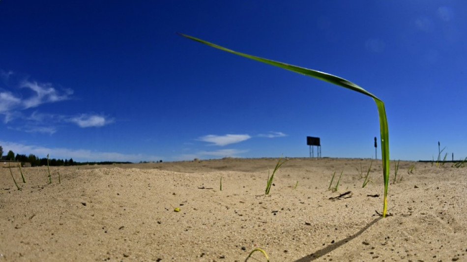 PIK-Forscherin Wendt dr&auml;ngt zum Handeln gegen Gesundheitsrisiken durch Klimawandel