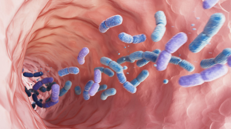  Il microbiota intestinale anticipa le malattie croniche fino a decenni prima 